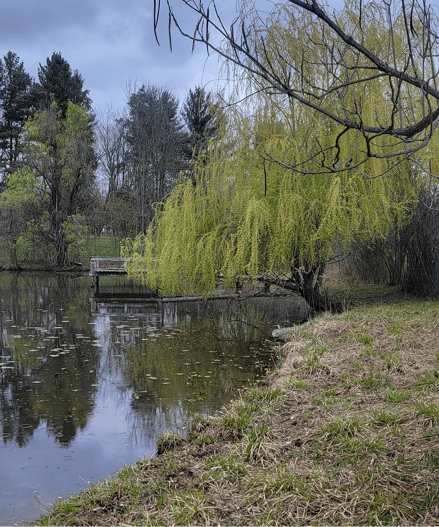 The Woodland Cleveland Wedding Venue Chefs for Hire